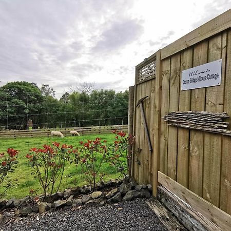 Crown Ridge Miners Cottage Karangahake Екстер'єр фото