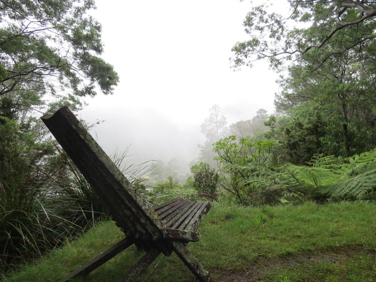 Crown Ridge Miners Cottage Karangahake Екстер'єр фото