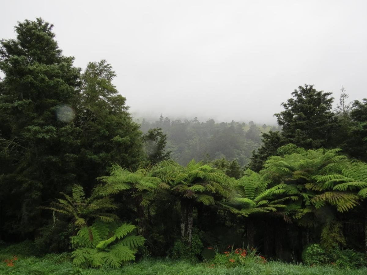 Crown Ridge Miners Cottage Karangahake Екстер'єр фото