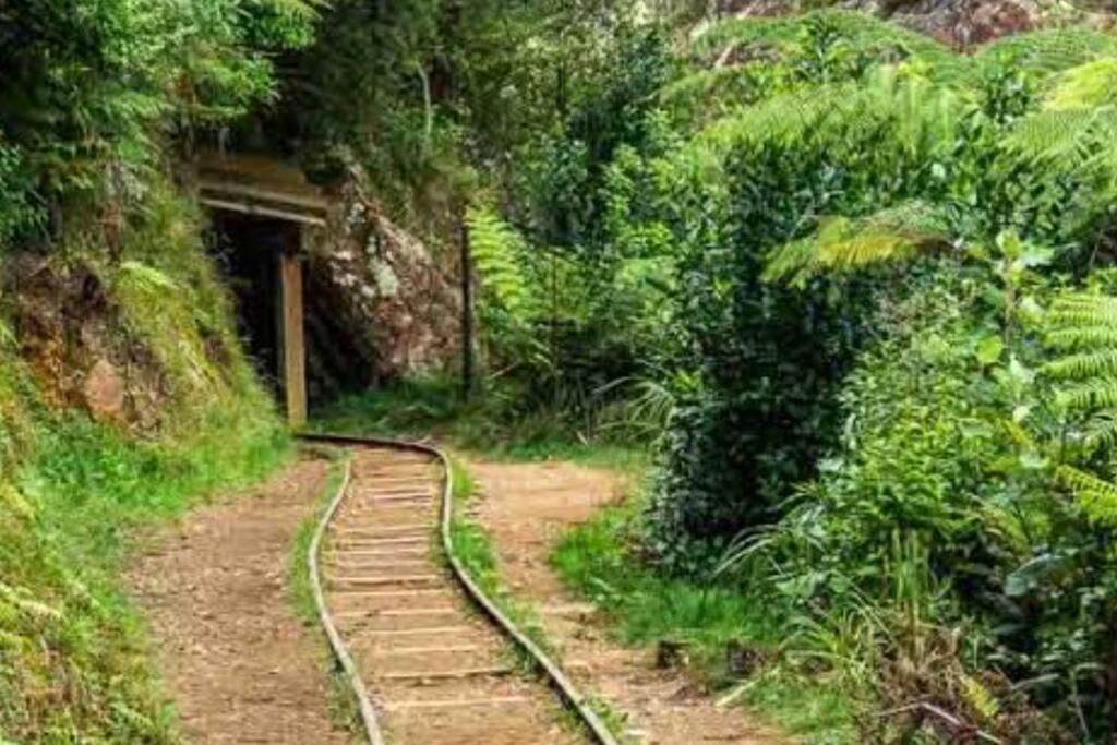 Crown Ridge Miners Cottage Karangahake Екстер'єр фото