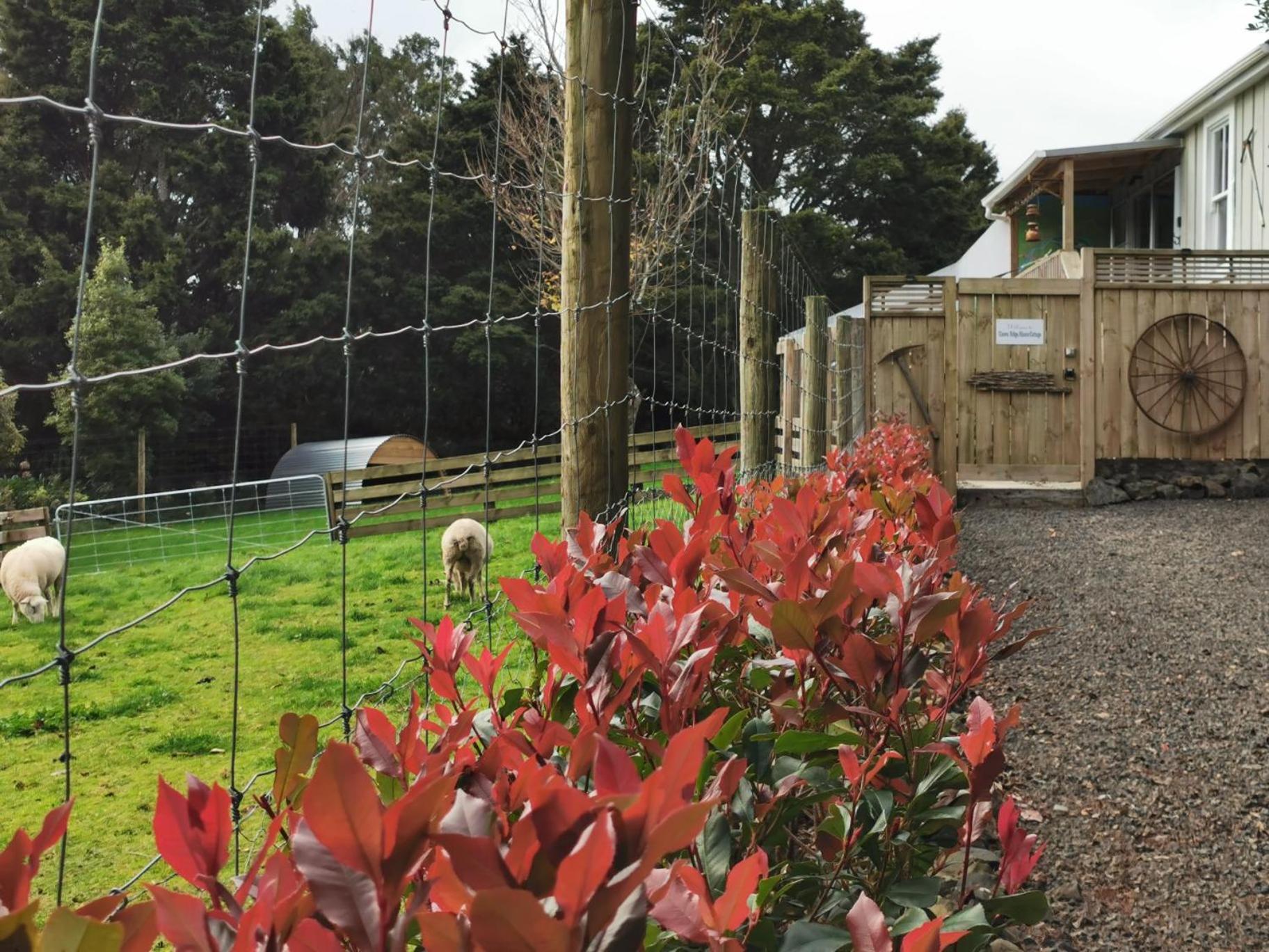 Crown Ridge Miners Cottage Karangahake Екстер'єр фото